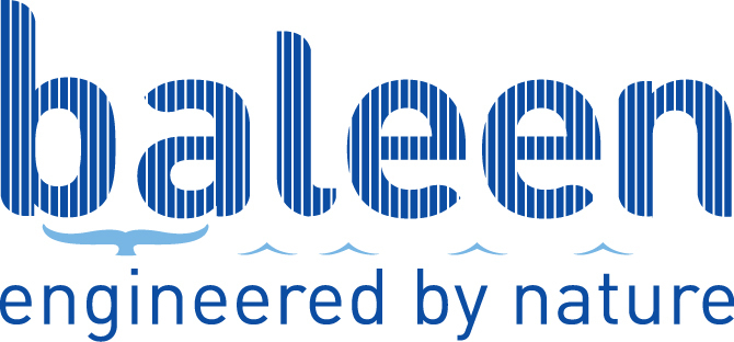 Baleen