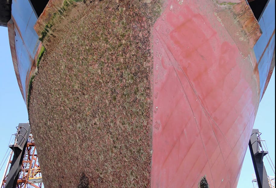 Biofouling-Permanent-Top