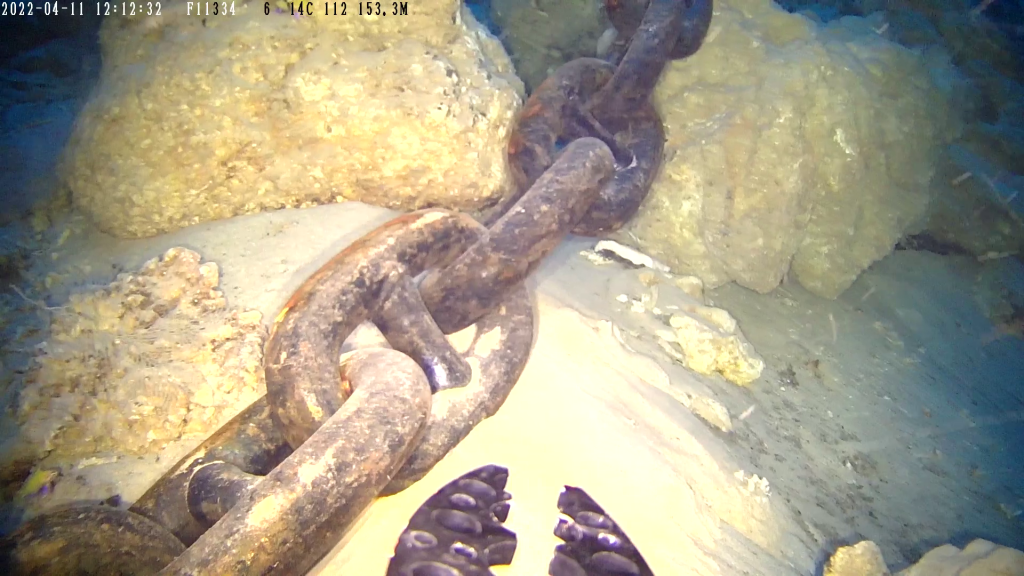 A Franmarine ROV is used to inspect the chain. The image was taken at a depth of 153.3msw
